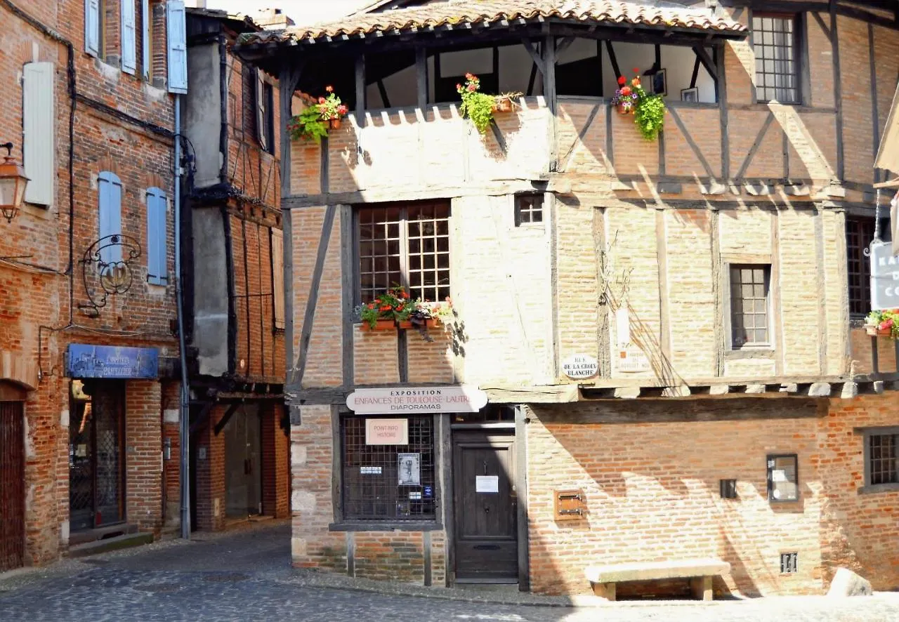 Le Chaud Vin - Centre Historique Albi - Zone Unesco - Animaux Acceptes Apartment